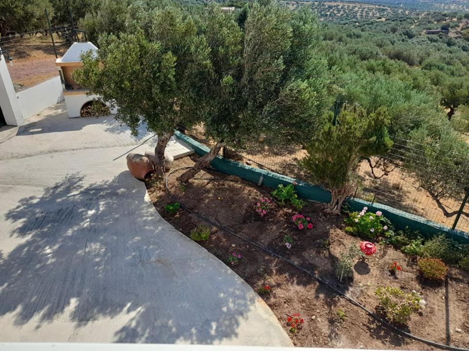 Villa Helen'S Olive Garden Xerokampos  Exterior foto