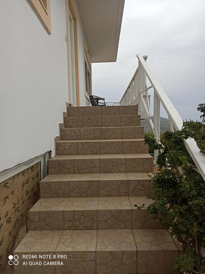 Villa Helen'S Olive Garden Xerokampos  Exterior foto