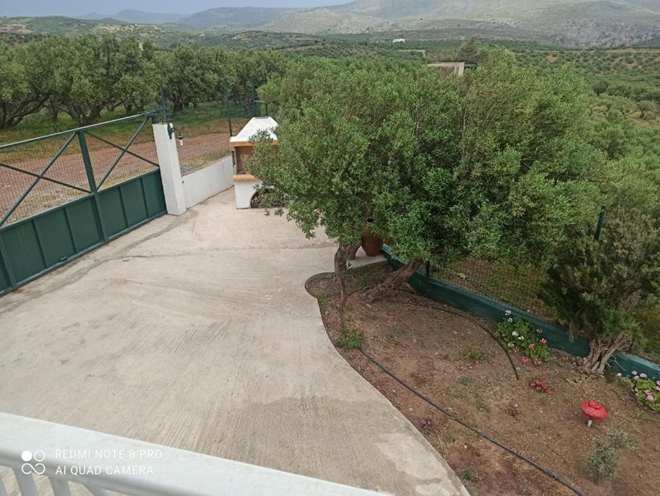 Villa Helen'S Olive Garden Xerokampos  Exterior foto